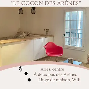 Cocon Au Pied Des Arènes D'arles Appartement